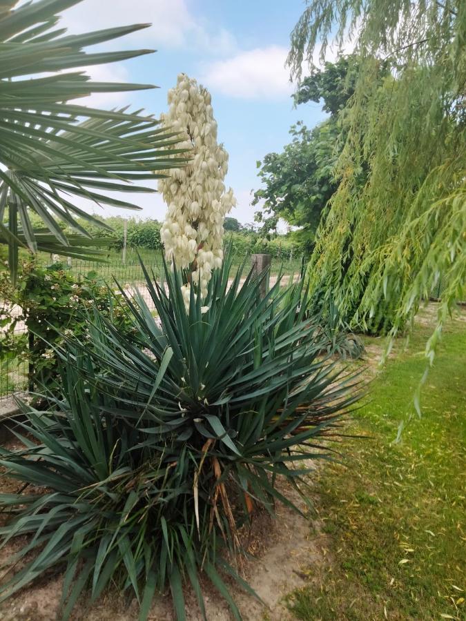 Antico Borgo Leone Panzió Rauscedo Kültér fotó